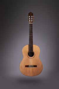 guitarra hornero