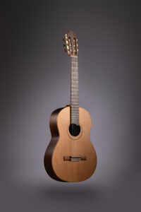 guitarra hornero