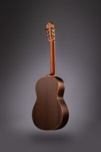 guitarra hornero