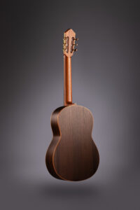 guitarra hornero