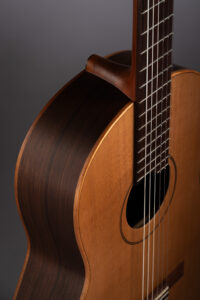 guitarra hornero