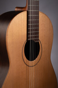 guitarra hornero